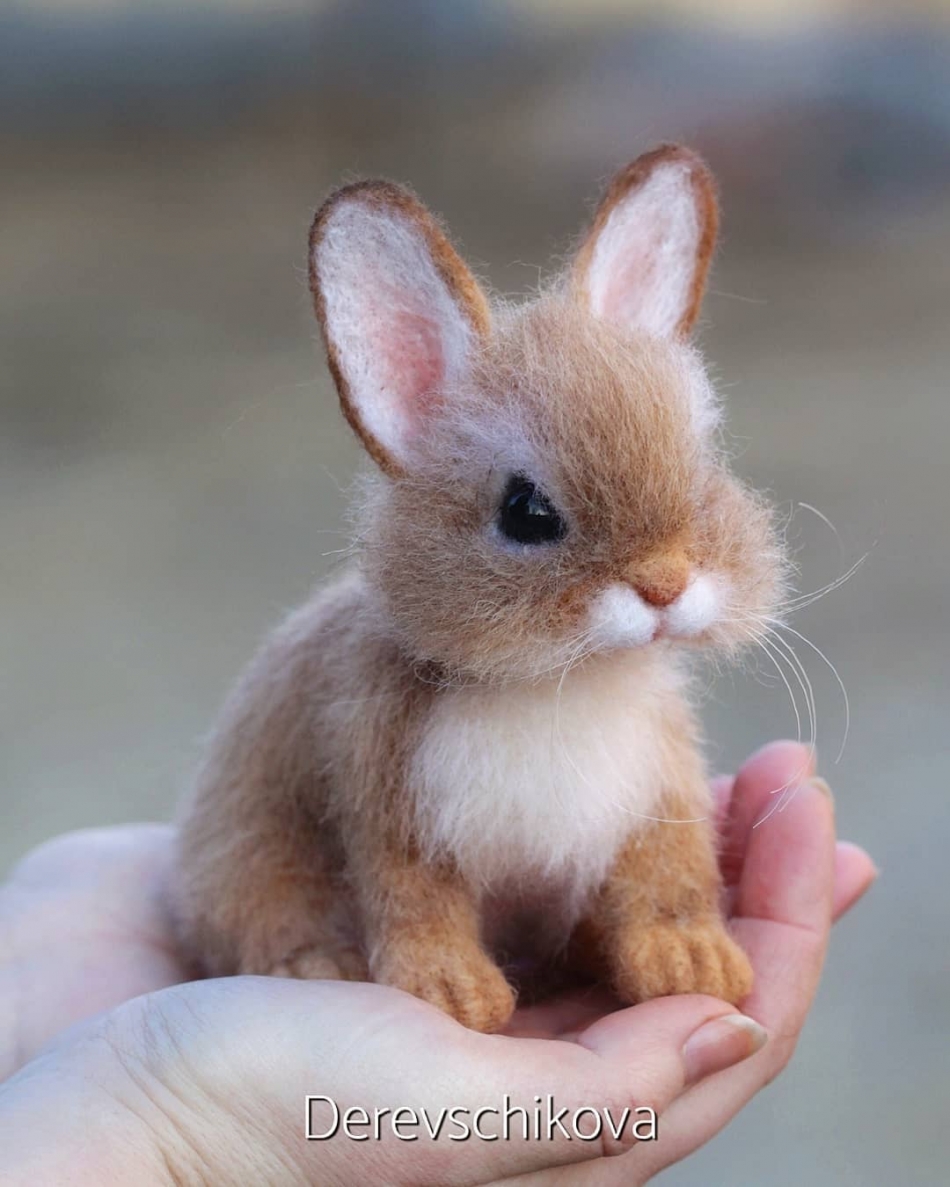 Brilliant Artist Creates Tiny Realistic-looking Felted Wool Animals 