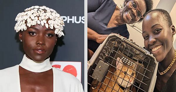 Oscar-Winner Lupita Nyong'o Adopts Shelter Cat After Break-Up: "Yoyo is saving me"