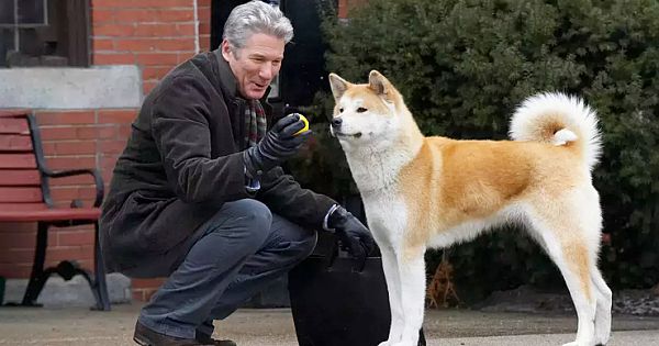 The World's Most Loyal Dog Hachiko's Rare Photos And It's Heartbreaking To See