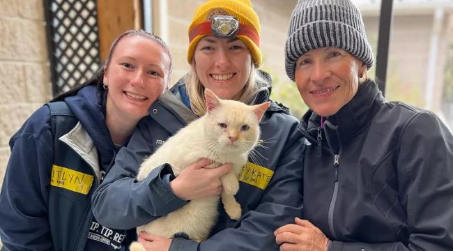 Cat Swept Away During Hurricane Helene Reunites with Family After a Harrowing Week