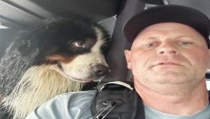 Heroic Firefighter Rescues Grateful Dog From Hurricane Milton Floodwaters