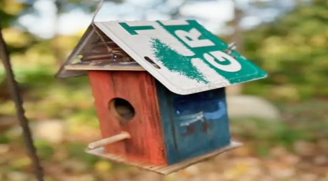 Homeowner Stunned to Find Cash Hidden in Birdhouse Nest