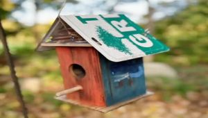 Homeowner Stunned to Find Cash Hidden in Birdhouse Nest