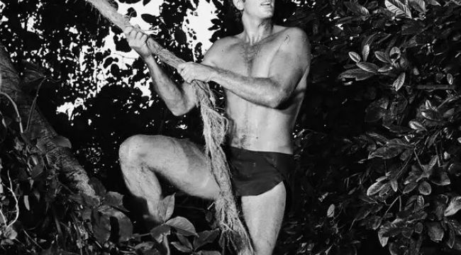 Iconic TV Tarzan Actor Ron Ely Dies at 86