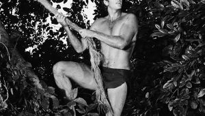 Iconic TV Tarzan Actor Ron Ely Dies at 86