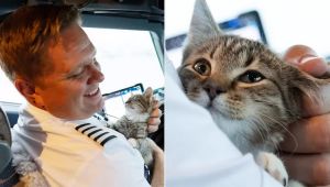 New Beginnings at 30,000 Feet: Pilot Adopts Kitten After Rescuing Over 145 Animals Affected by Hurricanes