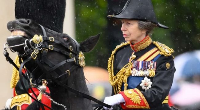 Princess Anne watches world's oldest riding school at Wembley - months after suffering concussion in accident involving horse