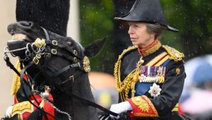 Princess Anne watches world's oldest riding school at Wembley - months after suffering concussion in accident involving horse