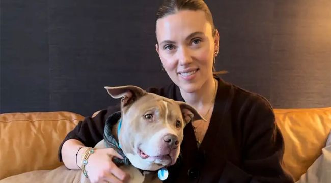 Scarlett Johansson Treats 12-Year-Old Rescue Pittie to a Spa Day and a Second Chance