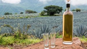 Tequila: The Healthiest Alcohol Choice? A Doctor Weighs In