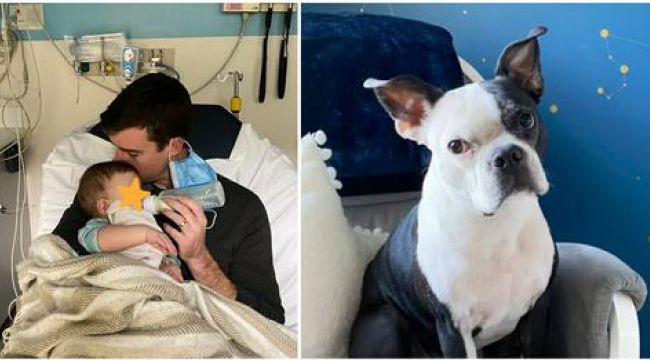 Dog saves baby girl’s life after she stopped breathing in the middle of the night