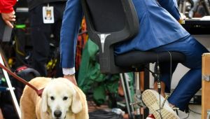 “ESPN’s Kirk Herbstreit Says Goodbye to Beloved Dog Ben: ‘Please Bless His Majestic Soul’”